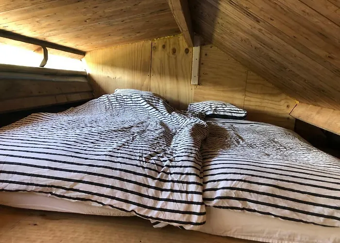 In The - Near Amsterdam